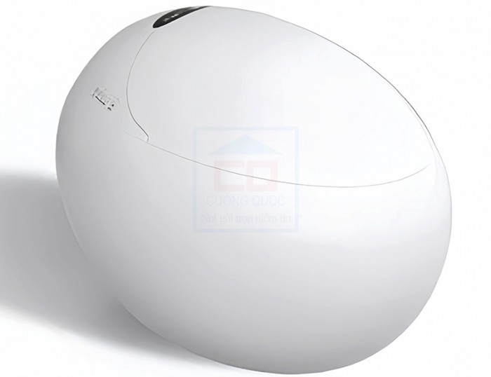 Bồn cầu thông minh Riba RB 9803