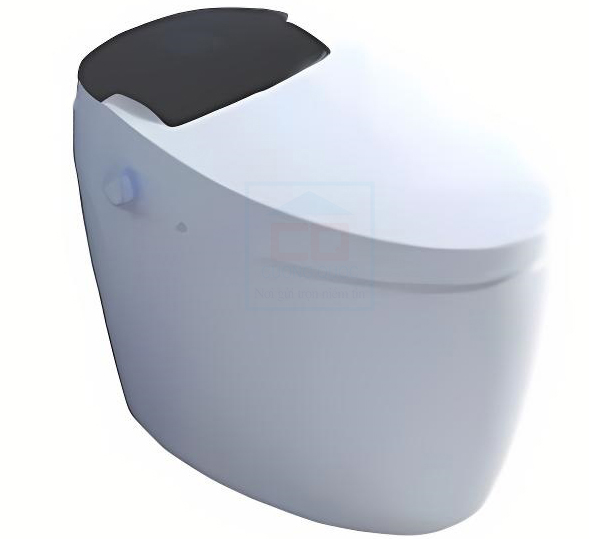 Bồn cầu thông minh Riba RB 9807