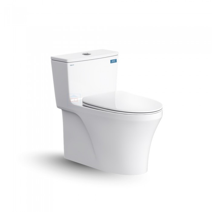 Bồn cầu một khối Viglacera HL2