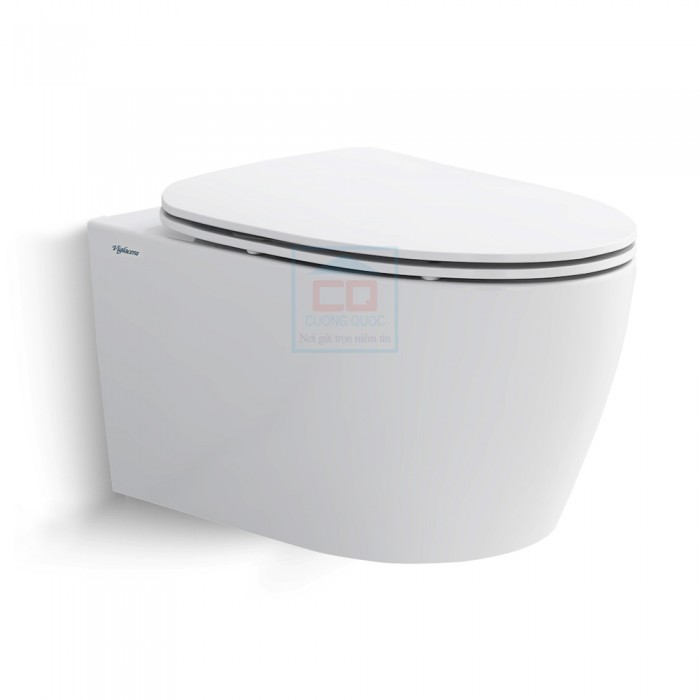 Bồn cầu treo tường Viglacera M.13.HL2