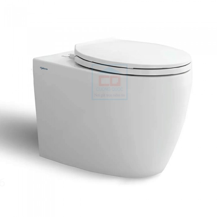 Bồn cầu đặt sàn không két nước Viglacera V.10.TL1