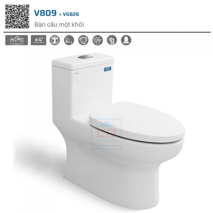 Bàn cầu một khối Viglacera V809