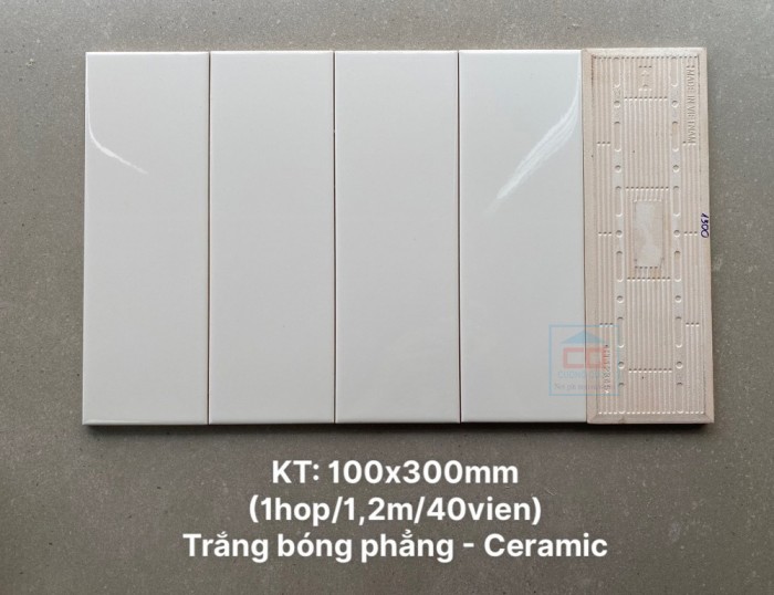 Gạch thẻ trắng bóng 100x300 mm STA1300