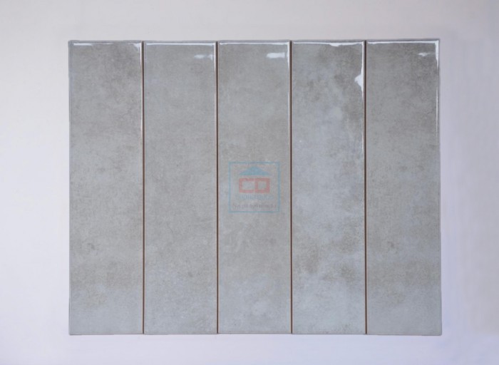 Gạch thẻ 75x300 mm bóng lượn DS75302