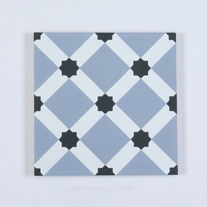 Gạch bông men 20x20cm DC218