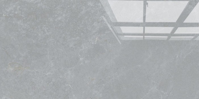 Gạch ốp tường Viglacera ASD 3632GP