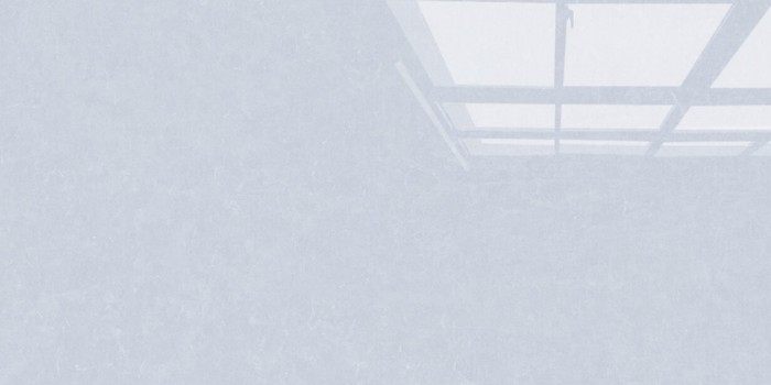 Gạch ốp tường Viglacera ASD 3633GP