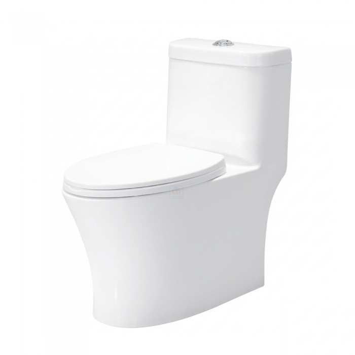 Bồn cầu một khối Bancoot TS48