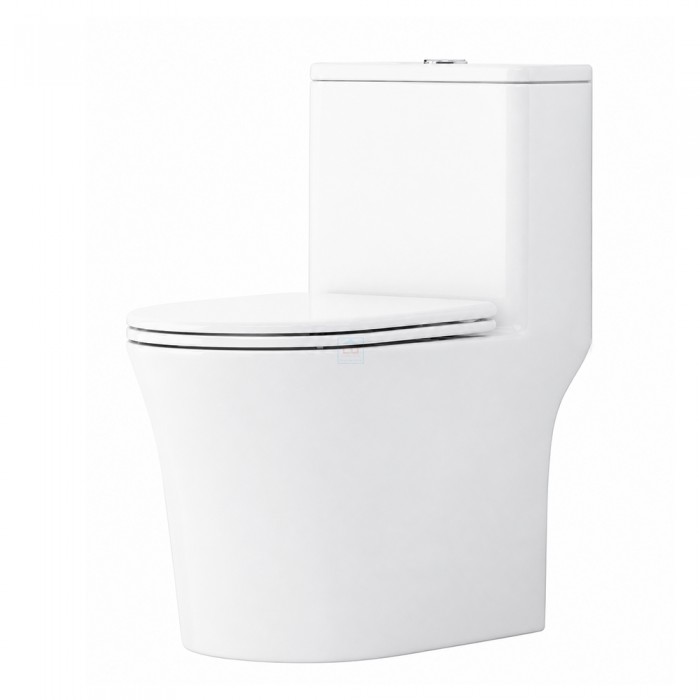 Bồn cầu một khối Bancoot TS86B