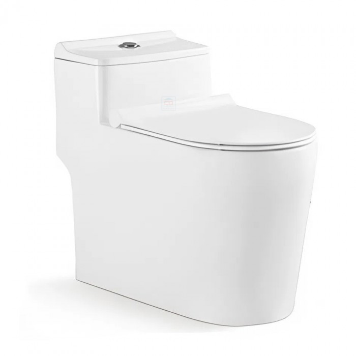 Bồn cầu 1 khối Bancoot TS73