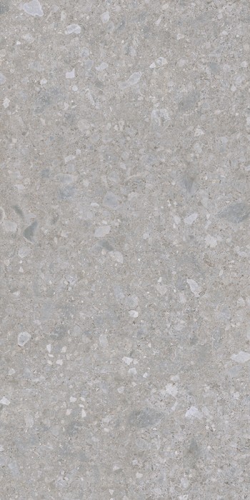 Gạch khổ lớn 120x240cm Eurotile THN X01C