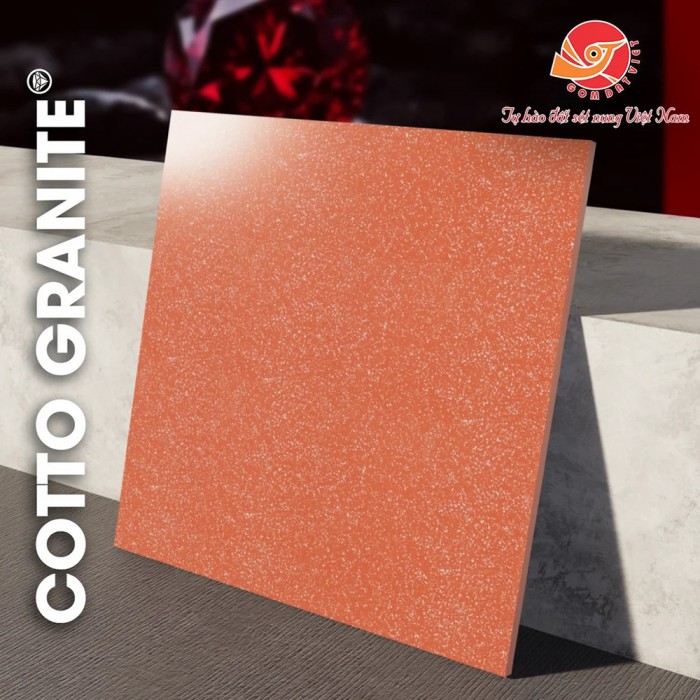 Gạch cotto granite CG02 Gốm Đất Việt