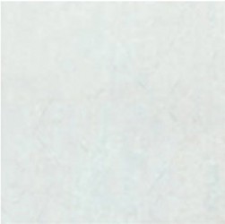 Gạch lát Ceramic Bạch Mã CG50002