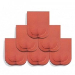 Ngói mũi hài kép Viglacera Hạ Long M46