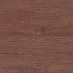 Gạch ốp lát KIS K60002D