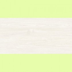 Gạch ốp lát KIS 50x100 K105002A