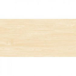 Gạch ốp lát KIS 50x100 K105002B