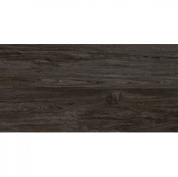 Gạch ốp lát KIS 50x100 K105002G