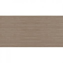 Gạch ốp lát KIS 50x100 K105004E-PL