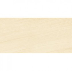 Gạch ốp lát KIS 50x100 K105005C-PN