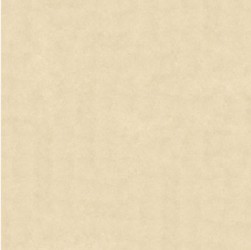 Gạch lát Granite Bạch Mã MN60001