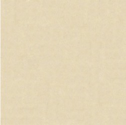 Gạch lát Granite Bạch Mã MN60002