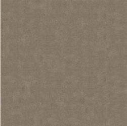 Gạch lát Granite Bạch Mã MN60005