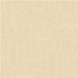 Gạch lát Granite Bạch Mã MP60001