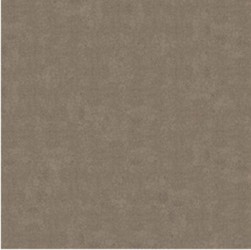 Gạch lát Granite Bạch Mã MP60005