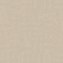 Gạch lát Granite Bạch Mã MR60003