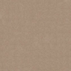 Gạch lát Granite Bạch Mã MR60004