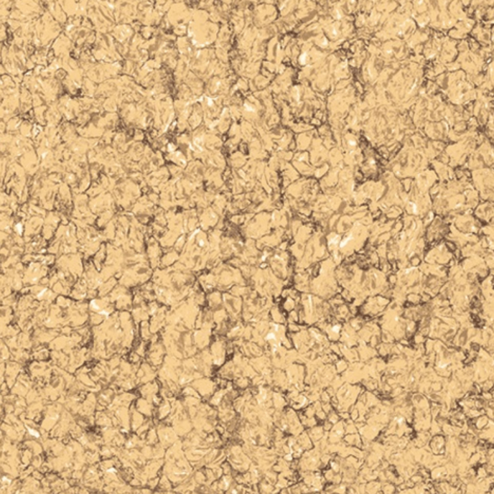 Gạch Granite Viglacera TS2-606