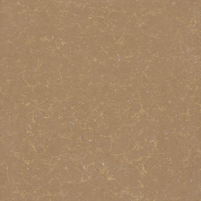 Gạch Granite Viglacera TS2-810