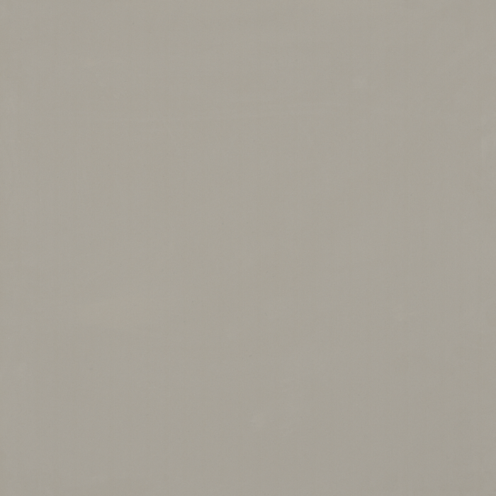 Gạch Granite Viglacera TS5-603