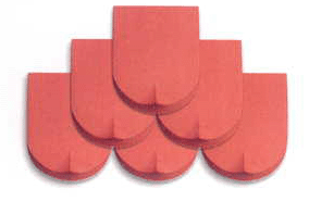 Ngói hài Xuân Hòa 270