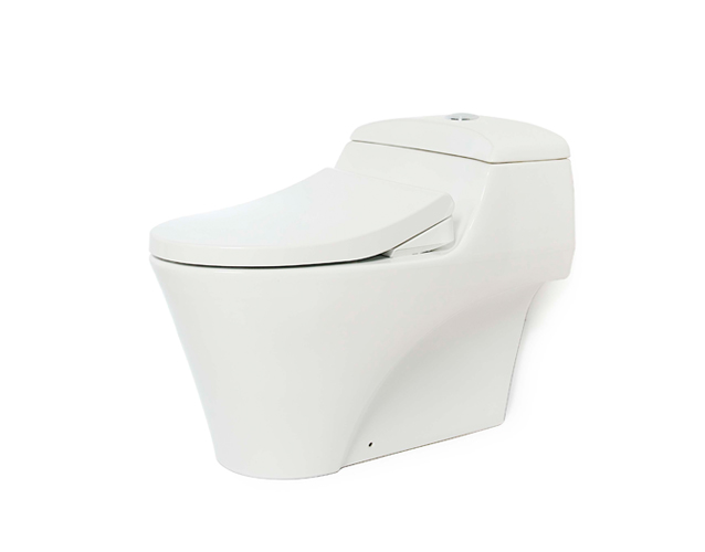 Bồn cầu một khối TOTO CW823W/FE4