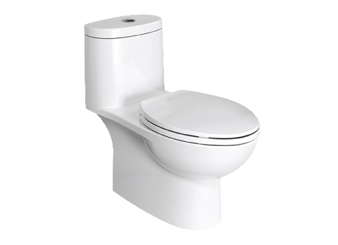 Bồn cầu một khối American Standard VF-2024 (C2024001-1M15B)