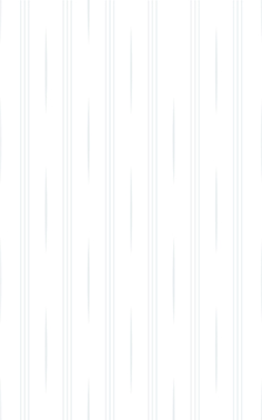 Gạch ốp Prime 05.250400.01501