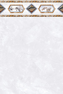 Gạch ốp Prime 14.300450.04207 ( Hết hàng )