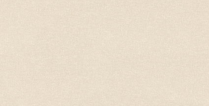 Gạch ốp Prime 05.300600.09957