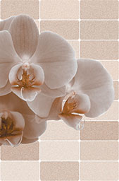 Gạch ốp Prime 05.300450.09338