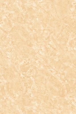 Gạch ốp Prime 05.300450.09452