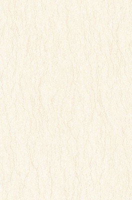 Gạch ốp Prime 05.300450.09463