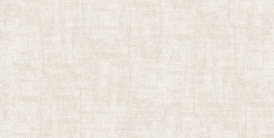 Gạch ốp Prime 05.300600.09941