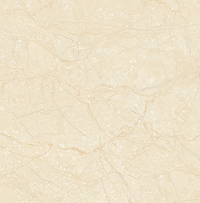 ạch Lát Nền Prime 13.500500.09363