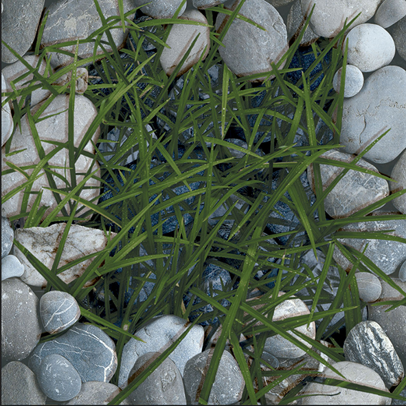 Gạch Lát Nền Prime 14.500500.09952 ( Hết hàng )