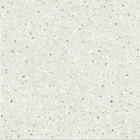 Gạch Ốp Lát Đồng Tâm 6060XACU001-FP