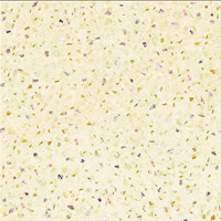 Gạch Ốp Lát Đồng Tâm 6060XACU002-FP