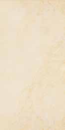 Gạch ốp tường Đồng Tâm 3060HOABIEN004