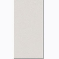 Gạch ốp tường Đồng Tâm 3060VENU003